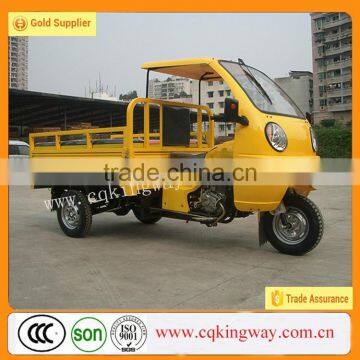 Three Wheel Passenger Cabinet Cargo Motorcycle With Food Fruit Plate Tricycle photo-3