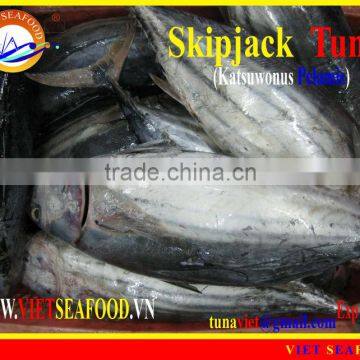 W/R FROZEN SKIPJACK TUNA