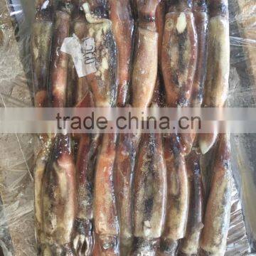 150-200g Illex Argentinus Squid Frozen Squid photo-4