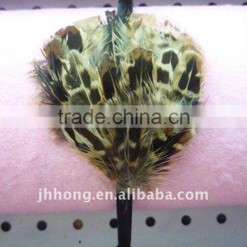 fashion leopard peacock feather headband