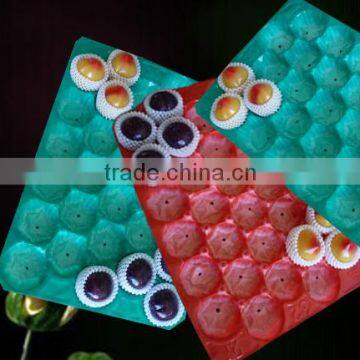 China Supply Cheap Plastic Fruit Tray photo-3