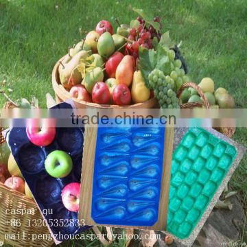 FDA Approved Vacuum Formed PP Food Serving Trays For Fresh Fruit Packaging