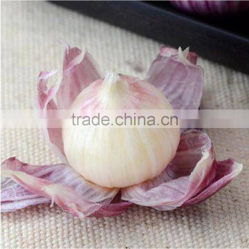 Best price of chinese fresh garlic