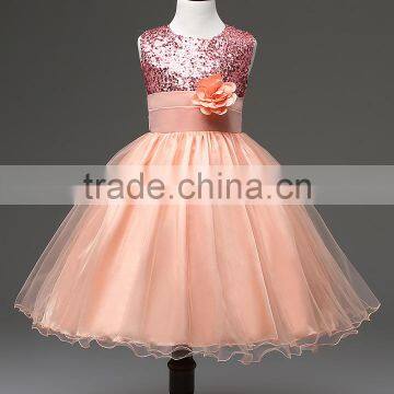 2017 Girl Dress Sequins Pageant Party Baby Kids Clothing Flower Baby Girl Christening Gowns For Princess Toddler Girls Clothes photo-5