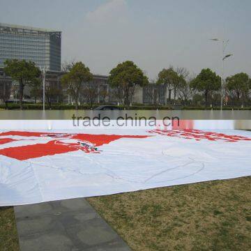 Cheap Advertising Large Outdoor Polyester Flag