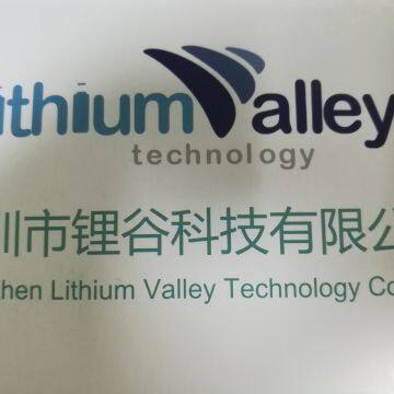 shenzhen lithium valley technology co., ltd