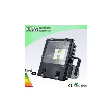 100W Good quality LED Floodlight