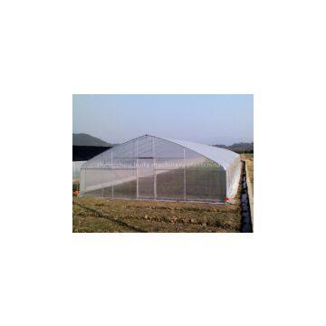 Low Cost Greenhouse of High Quality photo-2
