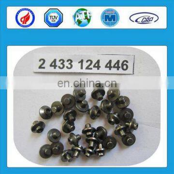 China Supplier Fuel Injector PIN 2433120128 2433122001 photo-4