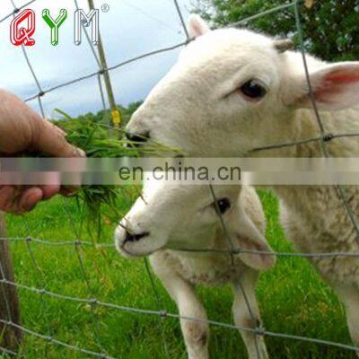 High tensile hinge joint steel wire sheep grassland field fence for farm