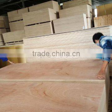 1220 x 2440 mm plywood sheet