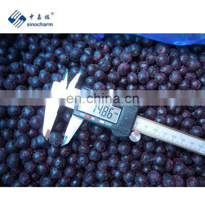 Sinocharm BRC A Approved Wild And Cultivate Frozen Fruit Fresh Taste IQF Frozen Blueberry