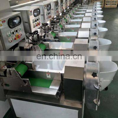 Large Capacity Vegetable Fruit Carrot Cabbage Slicing Shredding Machine photo-4