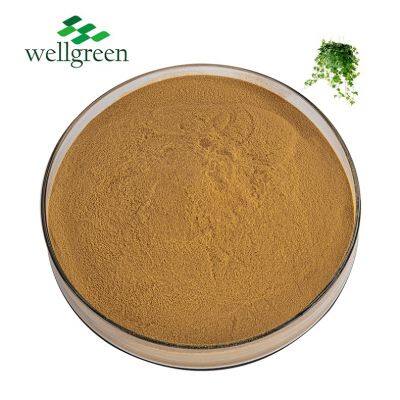 Hedera Helix Gourd Roots Leaves Dry Powder Hederaside C5% Water Soluble Dried Ivy Leaf Extract