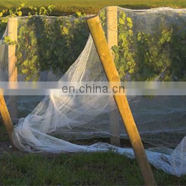 Manufacture UV 40mesh aphids netting for agriculture and greenhouse side or roof anti insect net