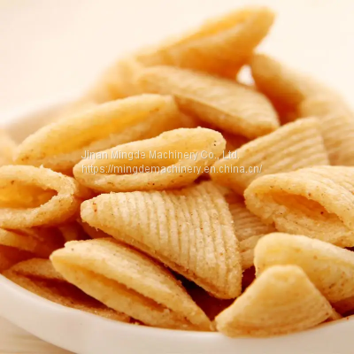 Fried Snacks Processing Line