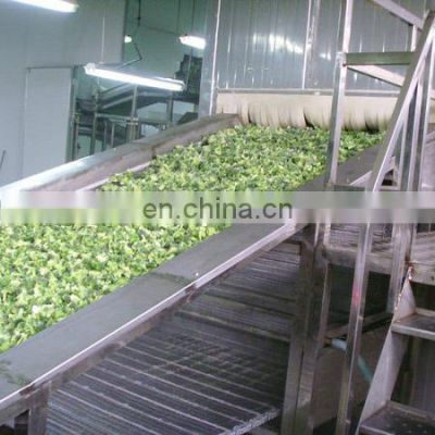 Good Performance Quick Frozen Machine Green Soy Bean Fruit Vegetable Making Machine Processing Machinery/processing plant