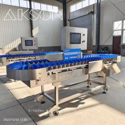 Food Weight Sorting Machine photo-3