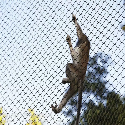 Stainless Steel Bird Cage Wire Mesh Animal Enclosure China