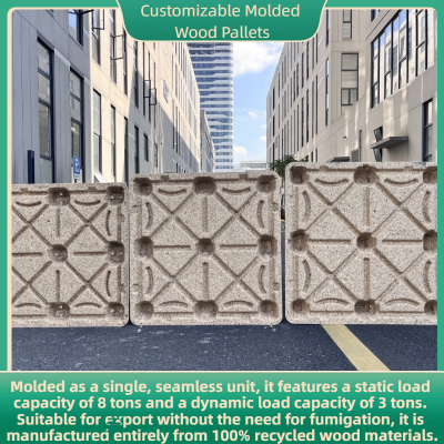 Dedicated Molded Wood Pallets for Sea Freight: Water-Resistant, Mold-Resistant, Fumigation-Free, and Facilitating Rapid Customs Clearance