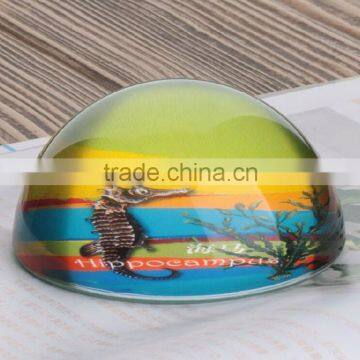 Utility Model Sea Horse Crystal Paperweight Gift photo-2