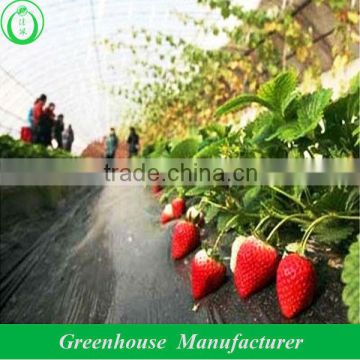 Hot Sale White Color Insect Net Greenhouse