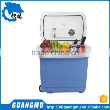 blood cooler box electric cooler box beer bottle coolers GMAQ26L