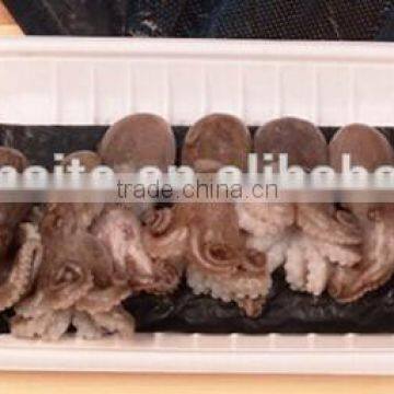 Safety Food Grade U.S Market Popular With Absorbent Pad Plastic Frozen Food Tray Packaging photo-3