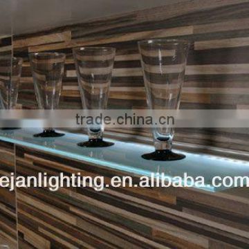 China Supplier T5 Kitchen Fluorescent Wall Mount Glass Shelf