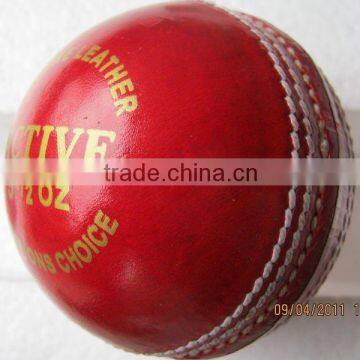 Active Leather Cricket Ball