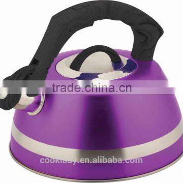 3.0 Litre stainless steel tea kettle