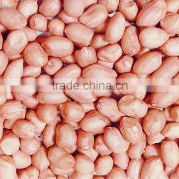 Factory directly sales blanched peanut kernels