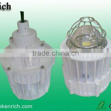 20 W-50 W LED Explosion Proof Light (IP65) courtyard light Laneway Light