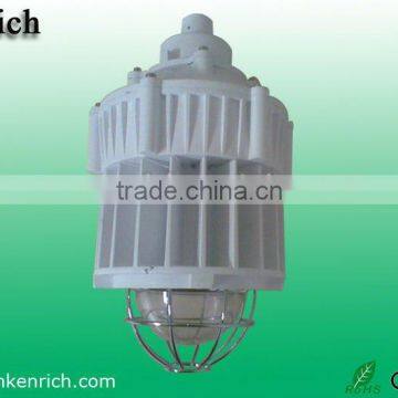 IP 65 LED Explosion Proof Light courtyard light Laneway Light