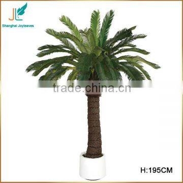 hot sale plastic potted artificial cycas revoluta tree for sale