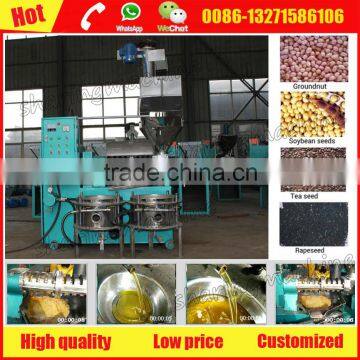 China professional groundnut oil processing machine with factory price