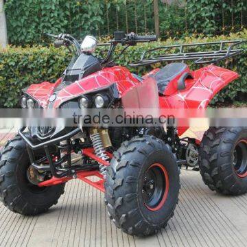 110cc/125cc ATV quad CE (XW-A55)