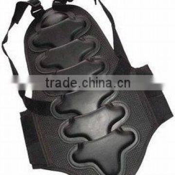 DL-1443 Motorbike Back Protection