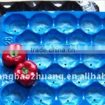 Plastic Polypropylene Packing Kiwi Tray