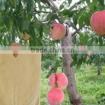 Paper fruit cap bag