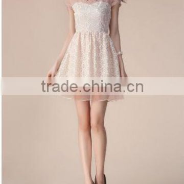 Korean style tuinc lace prom dress