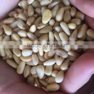 New Crop Chinese Pinenut Kernels photo-3