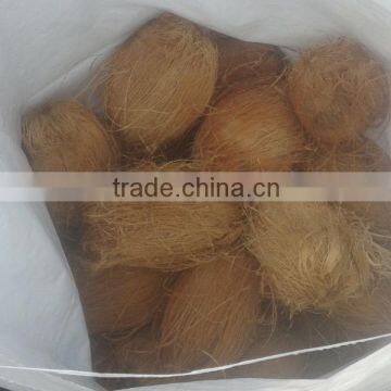 100% Natural Young Coconuts photo-2