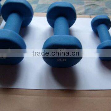 Vinyl Dumbbell vinyl dipped dumbbells