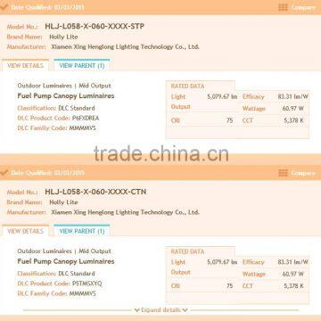 Holly Lite Newly Designed Led Pendant Light With DLC