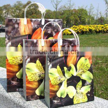 LDPE gift shopping bag