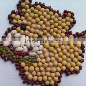 Organic Soya Beans( New Crop,Heilongjiang Origin) photo-3