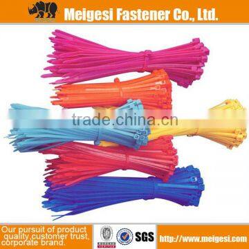 Self Locking Type Nylon Cable Binder Ties