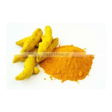 Turmeric Extract Curcumin 95%