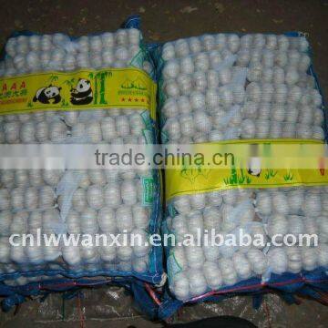 4.5cm, 250g mesh bag, 5kg mesh bag fresh garlic